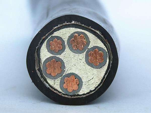 MYP�V���Ƅ�����ܛ��|