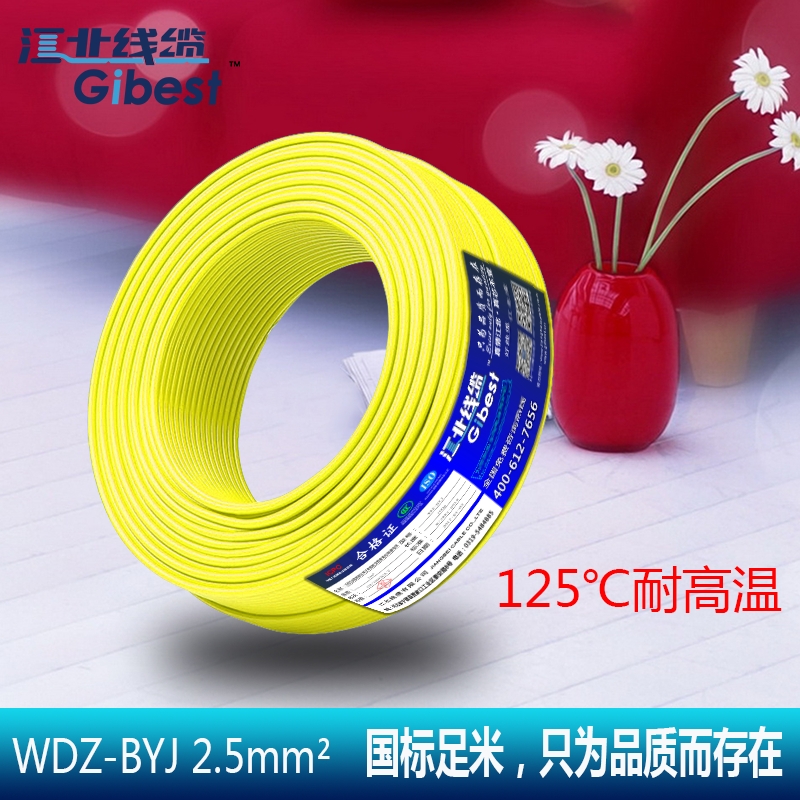 WDZ-BYJ�͸ߜص͟��o�u��ȼ�ͻ�^��BV2.5ƽ����