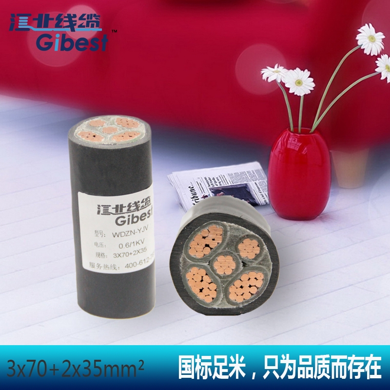 WDZN-YJV��(li��n)����ϩ�͟��o�u�ͻ������|